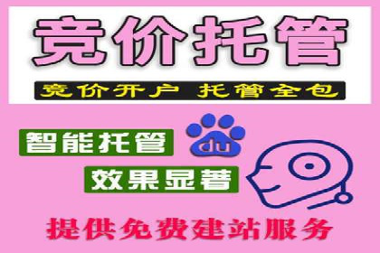 某某sem推广公司实战案例：精准投放提升转化率